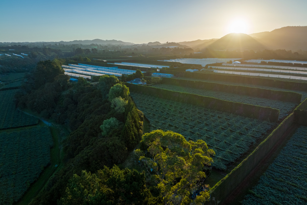 Adelaide Hills Horticulturalist